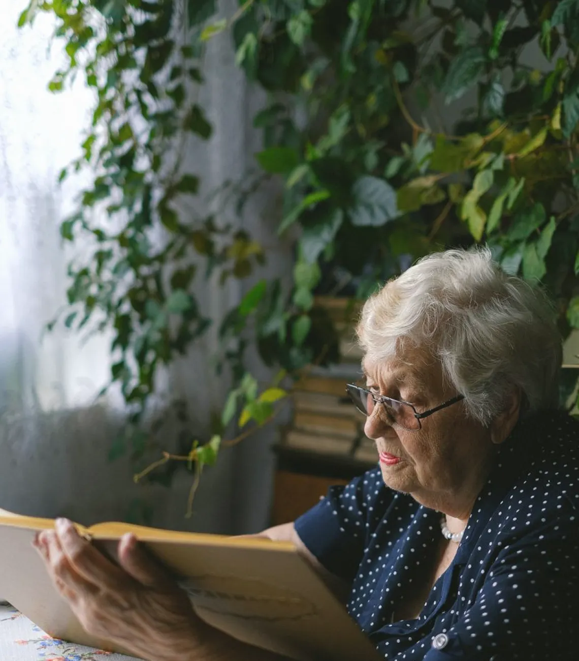 Um plano de orçamento para a casa da Dona Teresa